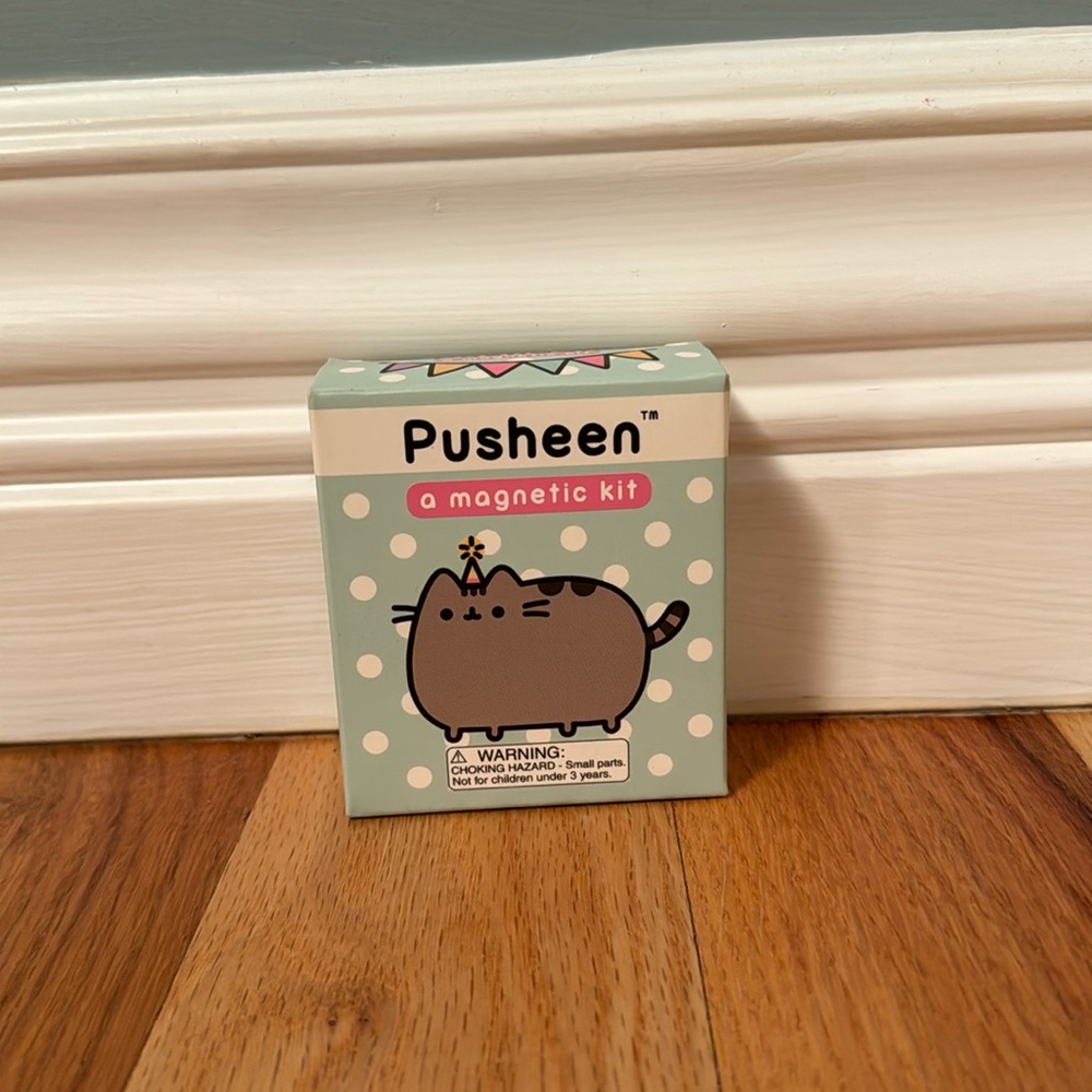 Pusheen magnet kit!!